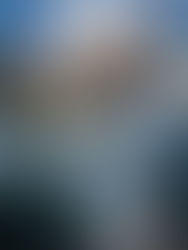 La Armada de EU publica fotos de los restos que ha recuperado del globo chino