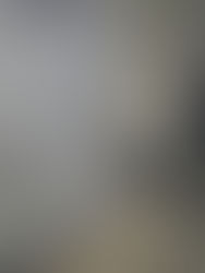 El G7 advierte que "nunca" reconocerá los "falsos referendos" en la Ucrania ocupada