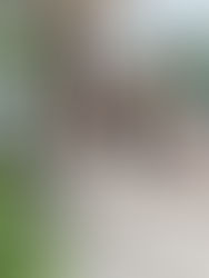 Niños cruzando fronteras, la otra cara de la migración