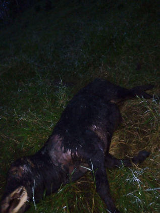 Señalan a Pemex de ecocidio en Chapultenango