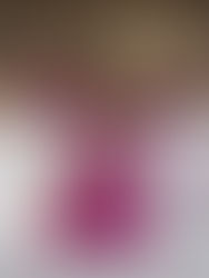 Claudia Sheinbaum rinde informe por los 100 días del segundo piso de la Cuarta Transformación