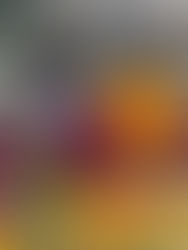 Tuxtlecos gastan hasta 900 pesos en Día de Muertos