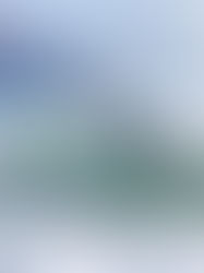 Alan Cleland concluye histórica participación en el surf