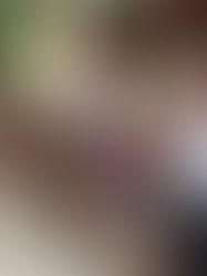 Fundación Zoé Robledo Santiago presente en el corazón de la región zoque