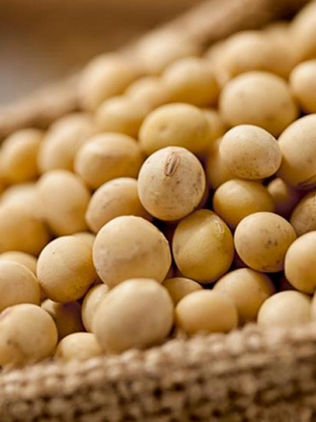 En Brasil, la fiebre de la soja sube por la demanda china