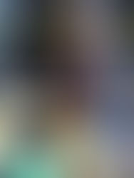 Trump reajusta operativo migratorio en Minesota tras muerte de manifestante