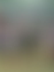 A representar a Chiapas