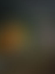 PC pide intensificar medidas de autoprotección 