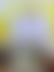 Despiden a cadete fallecida en accidente de buque en EUA