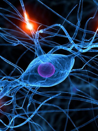 Hallan moléculas con potencial terapéutico contra la epilepsia