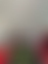 Realizan Reunión de seguridad Presidentes Municipales Electos de la Región