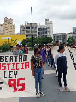 Población temerosa ante hechos radicales de normalistas