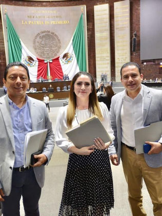 La reforma electoral no plantea desaparecer al INE: Llaven Abarca