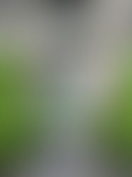 Sube a 164 casos de COVID-19 en México; acuerdan cinco puntos para controlar pandemia