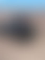 Detienen en Sinaloa a 10 personas vinculadas con el grupo delictivo ‘Los Mayos’