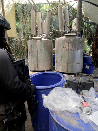 Destruyen más de 100 toneladas de sustancias ilícitas en Sinaloa