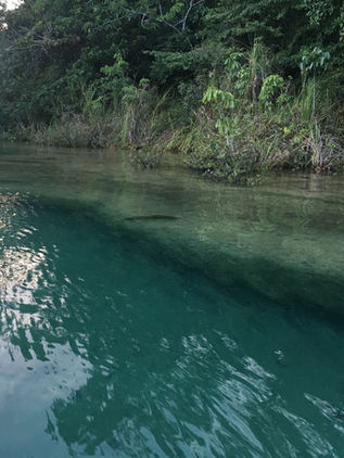 El encanto de Laguna Miramar