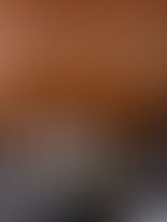 Realiza Poder Judicial foro sobre Derechos Humanos de la Comunidad LGBTTTIQ+