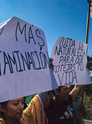 Indígenas exigen cerrar procesadoras de aceite en Benemérito de las Américas