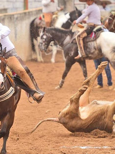 Arranca torneo Guadalupano