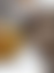 Éxito el 6° Festival Chiapaneco del Cacao y Chocolate en San Cristóbal de las Casas pese a las lluvias