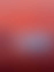 Plataformas de hielo de la Antártida, en riesgo de su rápida destrucción