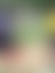 Programan la jornada sie7e