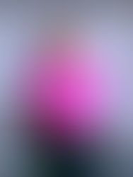 Lourdes Maldonado, en sinergia por un Chiapas productivo