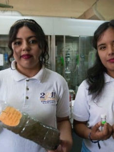 Obtienen estudiantes de ingeniería combustible limpio a partir de aguas negras
