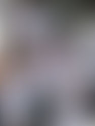 Vinculan a proceso a presunto implicado en masacre de mormones 