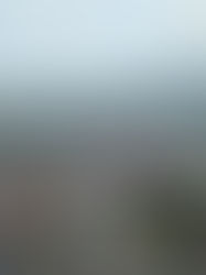 ¡Felices 131 años, Tuxtlita bella!