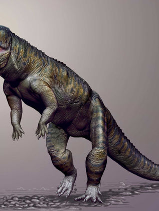 Especies de antiguos cocodrilos caminaban sobre sus dos patas traseras