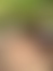 Falta de lluvias afecta la crianza de ganado 