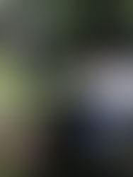 Recetas artesanales para dar empleo y sustento