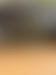 Alertan por incremento en lluvias por onda tropical 