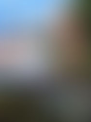 Listos tritones para el Grand Prix