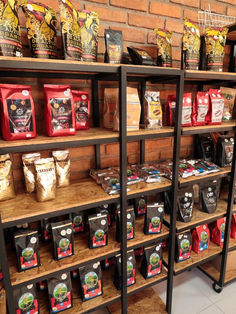 Estrategia Punto Tuxtleco gana concurso Innopolis 2020