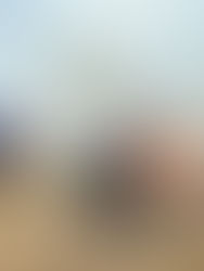 Argelia logra extinguir 76 de los casi cien incendios en 24 horas