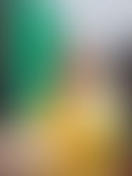 Presidenta del Congreso del Estado, reconoce acciones de seguridad encabezadas por Rutilio Escandón