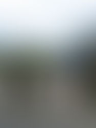 Suben a seis los muertos por ataques del narco en Ecuador