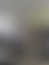 Congreso aprueba conservación y protección de los maíces nativos