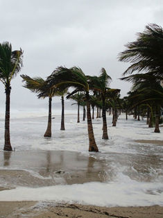 En México, pocas empresas aseguran sus bienes ante huracanes e inundaciones