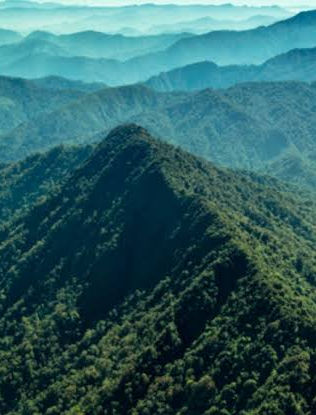 La Sepultura, una ventana a la fauna y flora chiapaneca