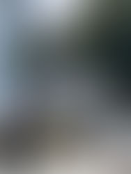 El inodoro mexicano sin drenaje que apuesta a la sustentabilidad