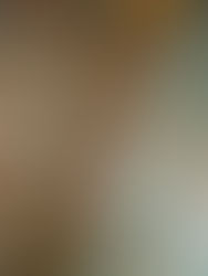 El azul maya resurge como herencia viva