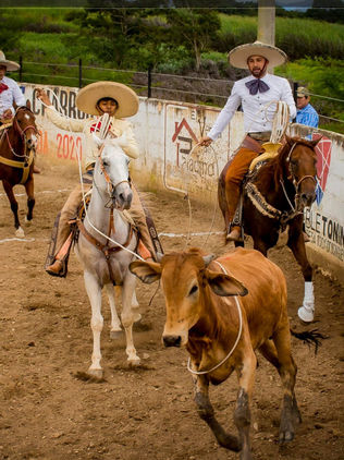 Arrancan de gran manera