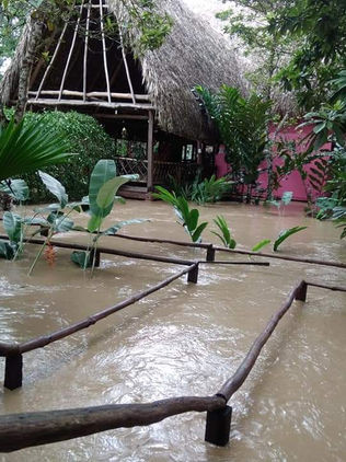 Bajo el agua, centros ecoturísticos de Montes Azules