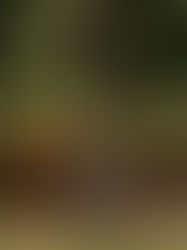 Llevar una vida saludable, lo que incluye dormir 8 horas, previene la depresión