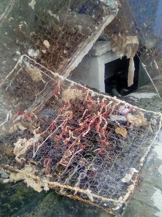 Habitantes de Chiapa de Corzo afectados por colchonera