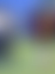 Cafetaleros cierra torneo en casa